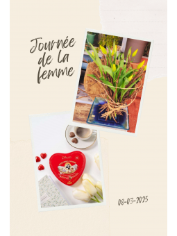 Bouquet tulipes et chocolat