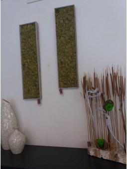 Tableaux Végétaux 1