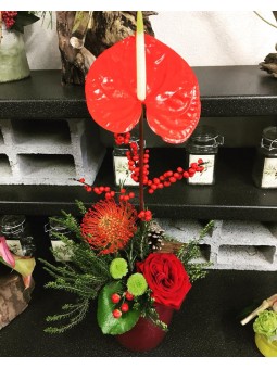 Arrangement 42