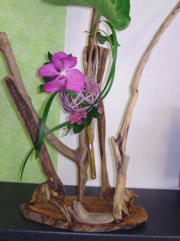 Arrangement 43
