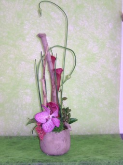 Arrangement 44
