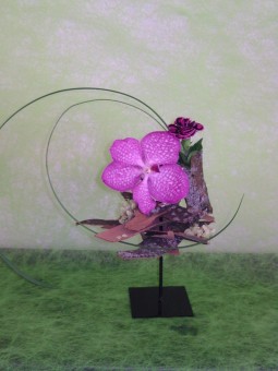 Arrangement 46