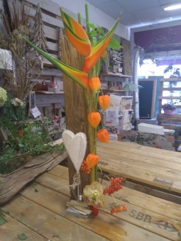 Arrangement 47