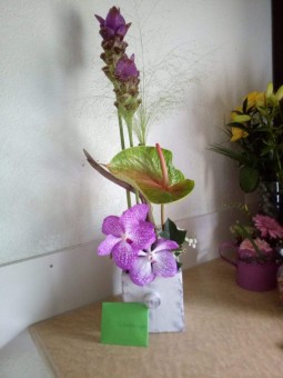 Arrangement 49