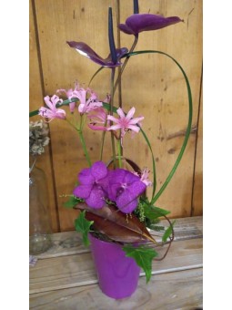 Arrangement 50