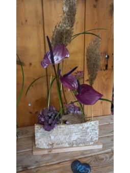 Arrangement 51