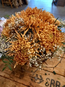 Arrangement 24